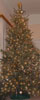 Weihnachtsbaum 2004